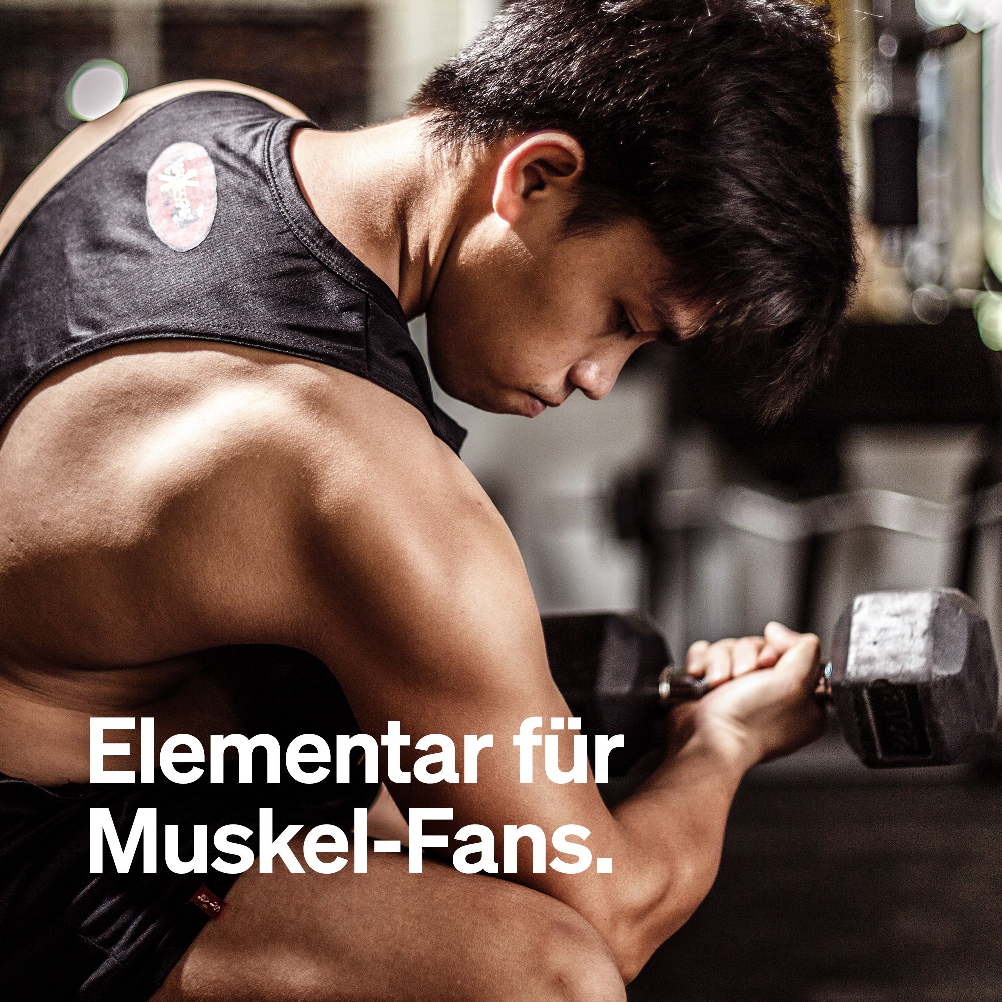 Mann beim Hanteltraining. Schwarzes Tanktop. Text: 'Elementar für Muskel-Fans'.