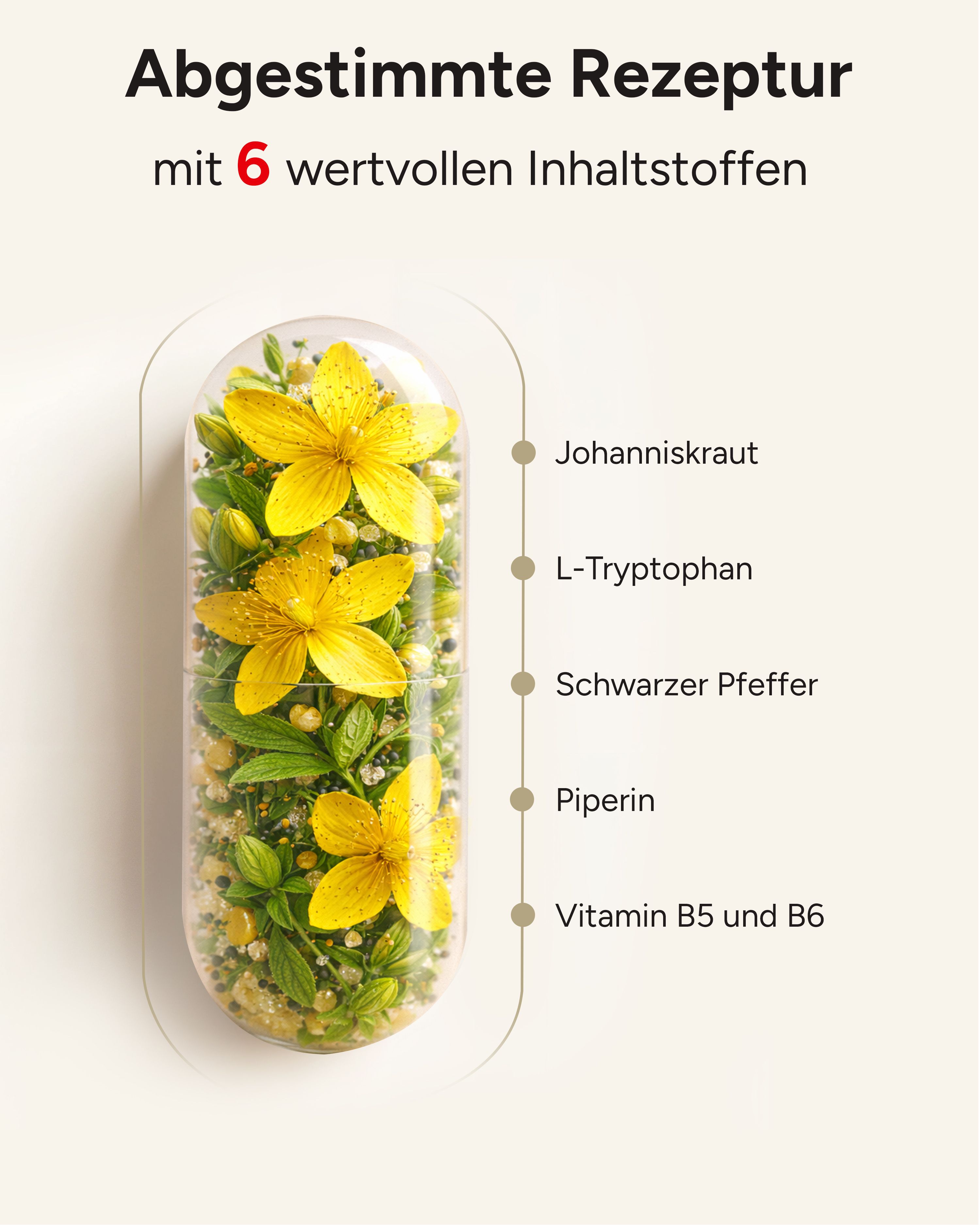plantomol® Stimmungsaufheller Johanniskraut Kapseln mit L-Tryptophan GABA & B5 - Stimmungszauber