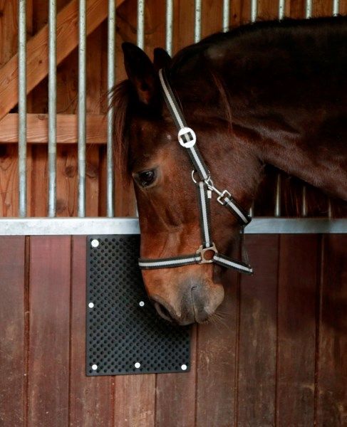 Pferd in Box mit schwarzer Matte an der Wand. Matte mit Noppen.