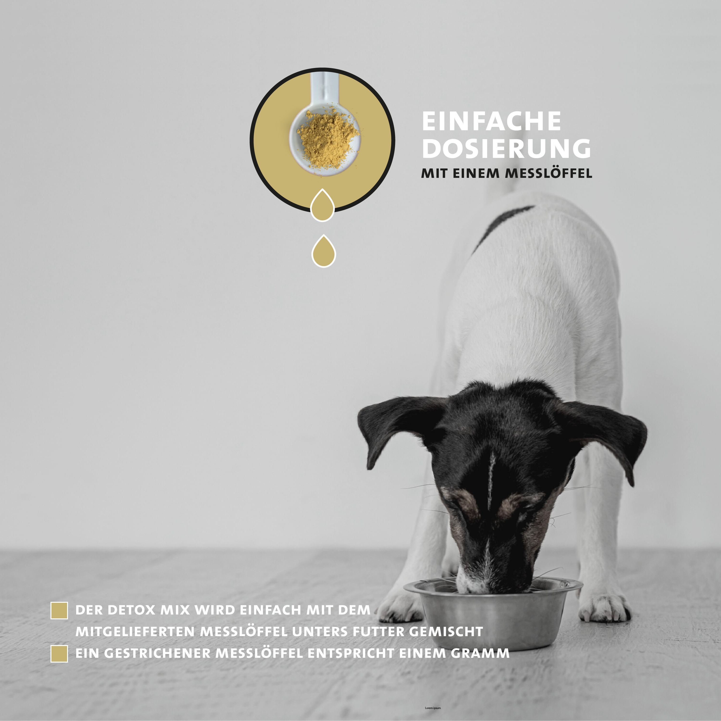 Hund frisst aus Napf, Löffel mit Pulver und Tropfen darüber, Text "Einfache Dosierung".