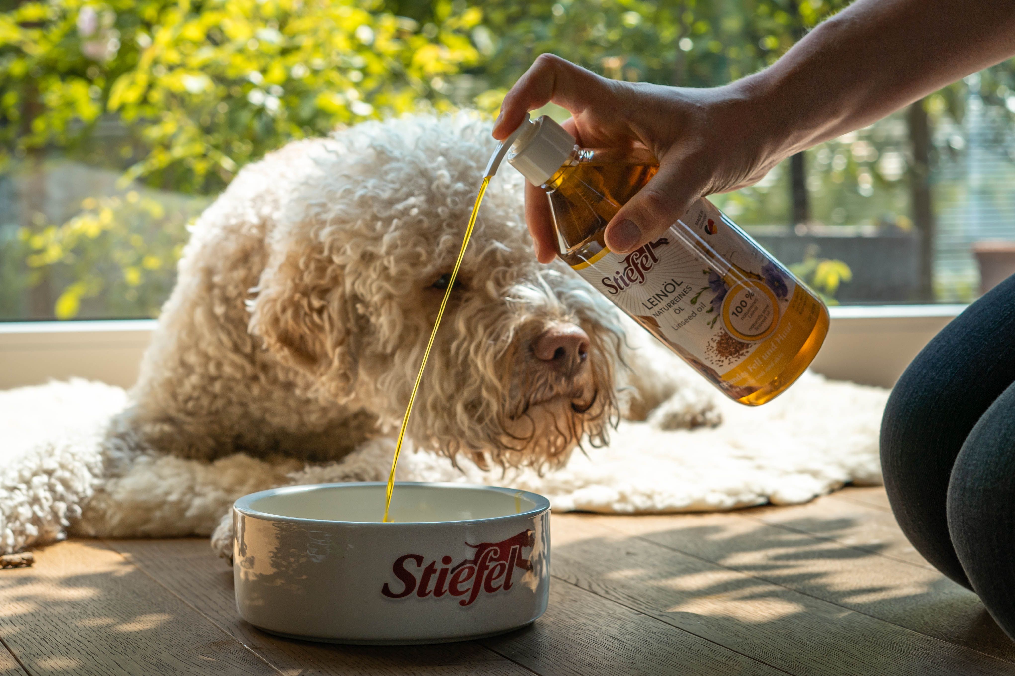 Eine Hand gießt Stiefel Leinöl in eine Schüssel. Ein Hund liegt daneben. Die Schüssel trägt den Schriftzug Stiefel.
