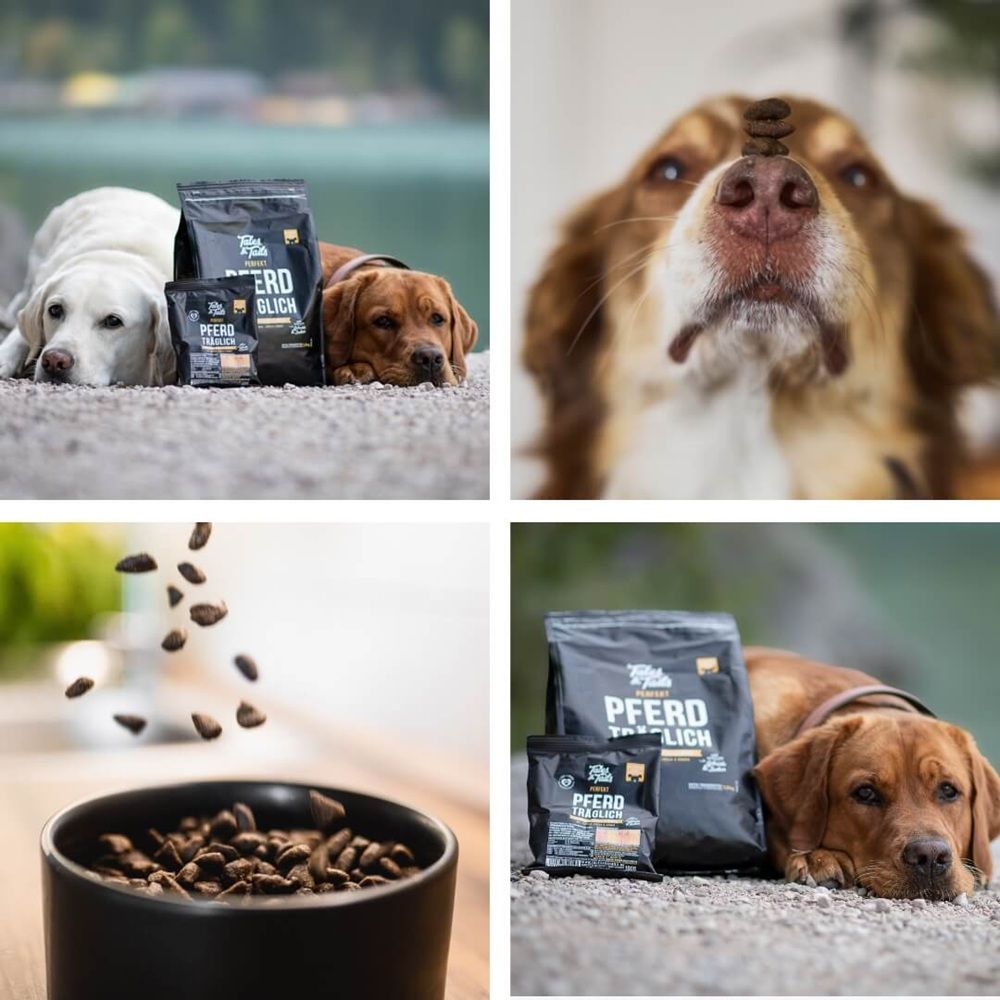 Tales & Tails Perfekt PferdTräglich - Softes Trockenfutter mit Pferd
