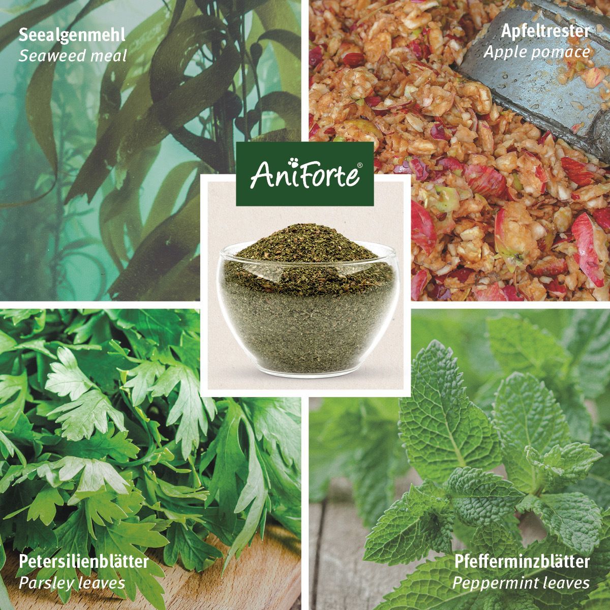 Collage mit Seetang, Apfeltrester, Petersilie, Pfefferminze und einer Schale Kräuterpulver.