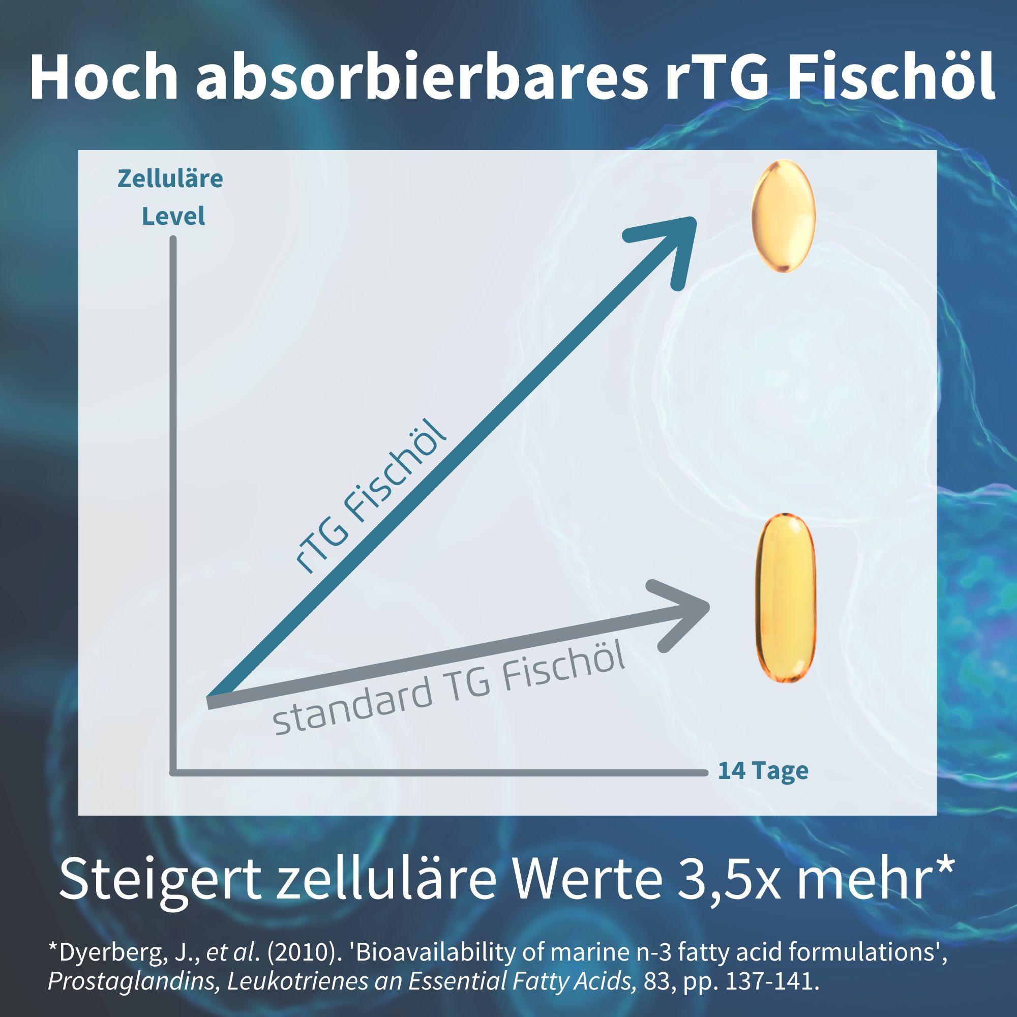 Igennus Omega-3 Fischöl mit D3 1000 IE, EPA DHA Fettsäuren, Triglyceridform rTG, Rein IFOS