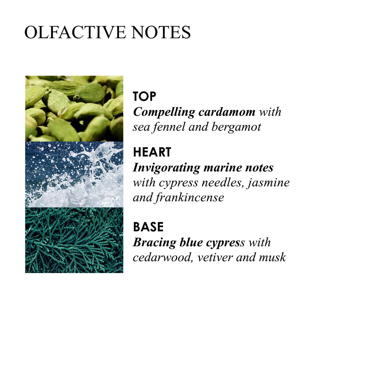 Molton Brown, Coastal Cypress & Sea Fennel Bade- und Duschgel Nachfüllpackung
