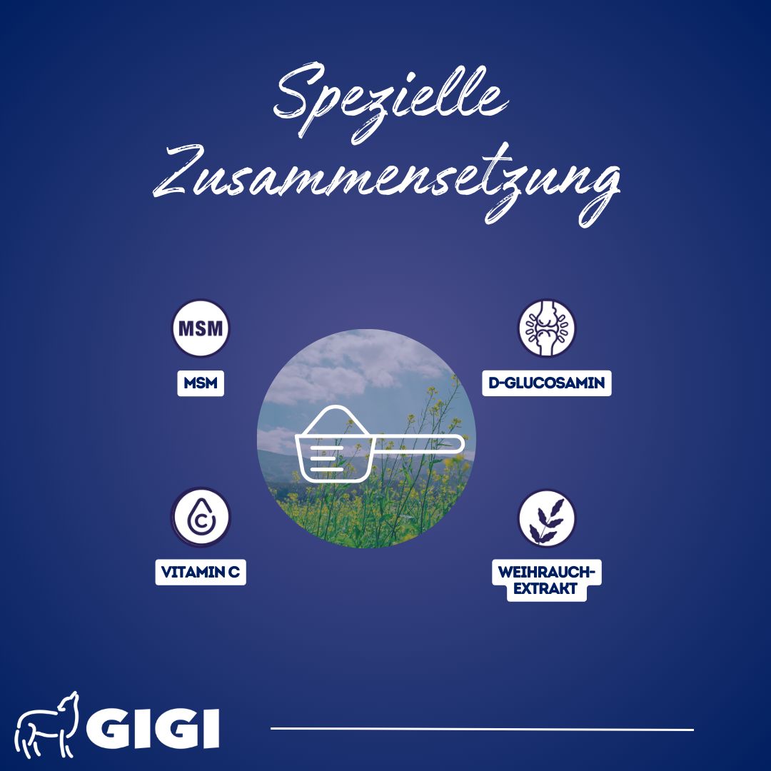 Kreis mit Inhaltsstoffen: MSM, Vitamin C, D-Glucosamin, Weihrauch-Extrakt. Löffel mit Pulver. Logo GIGI.