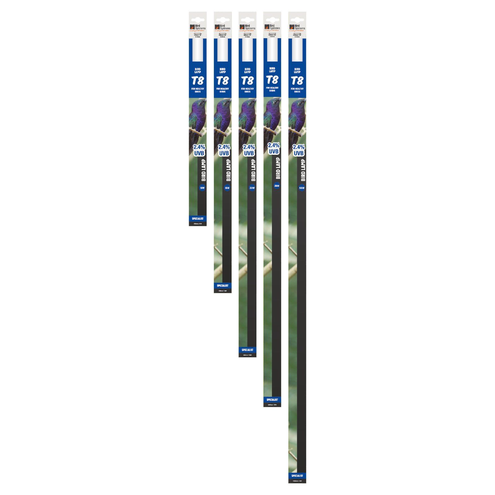 Bird Systems - Bird Lamp T8 - lebenswichtiger UV-Strahlen für den Vogelkäfig