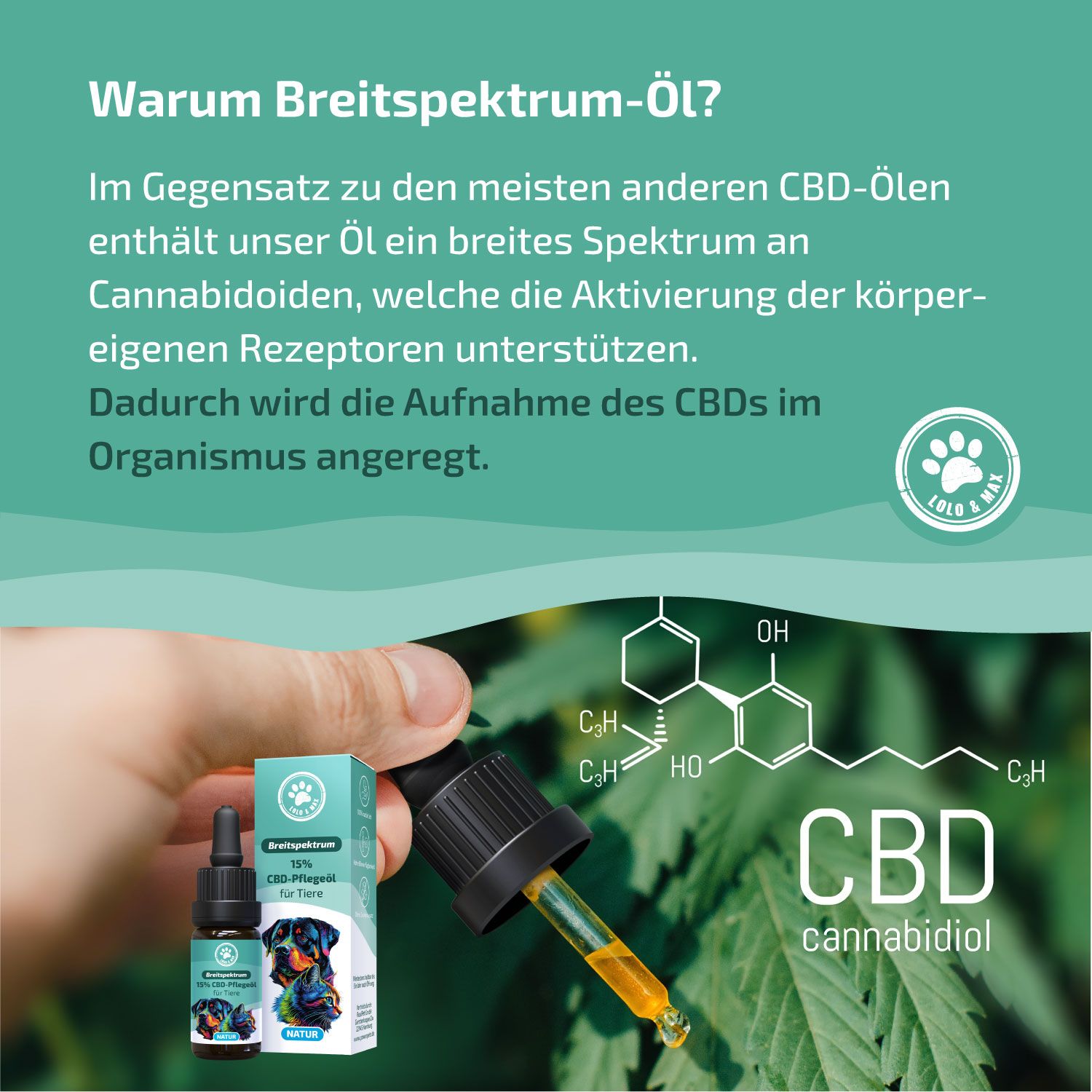 Braune Flasche und Verpackung mit Produktabbildung. Text: Warum Breitspektrum-Öl? CBD-Cannabidiol-Strukturformel. Hand hält Flasche.