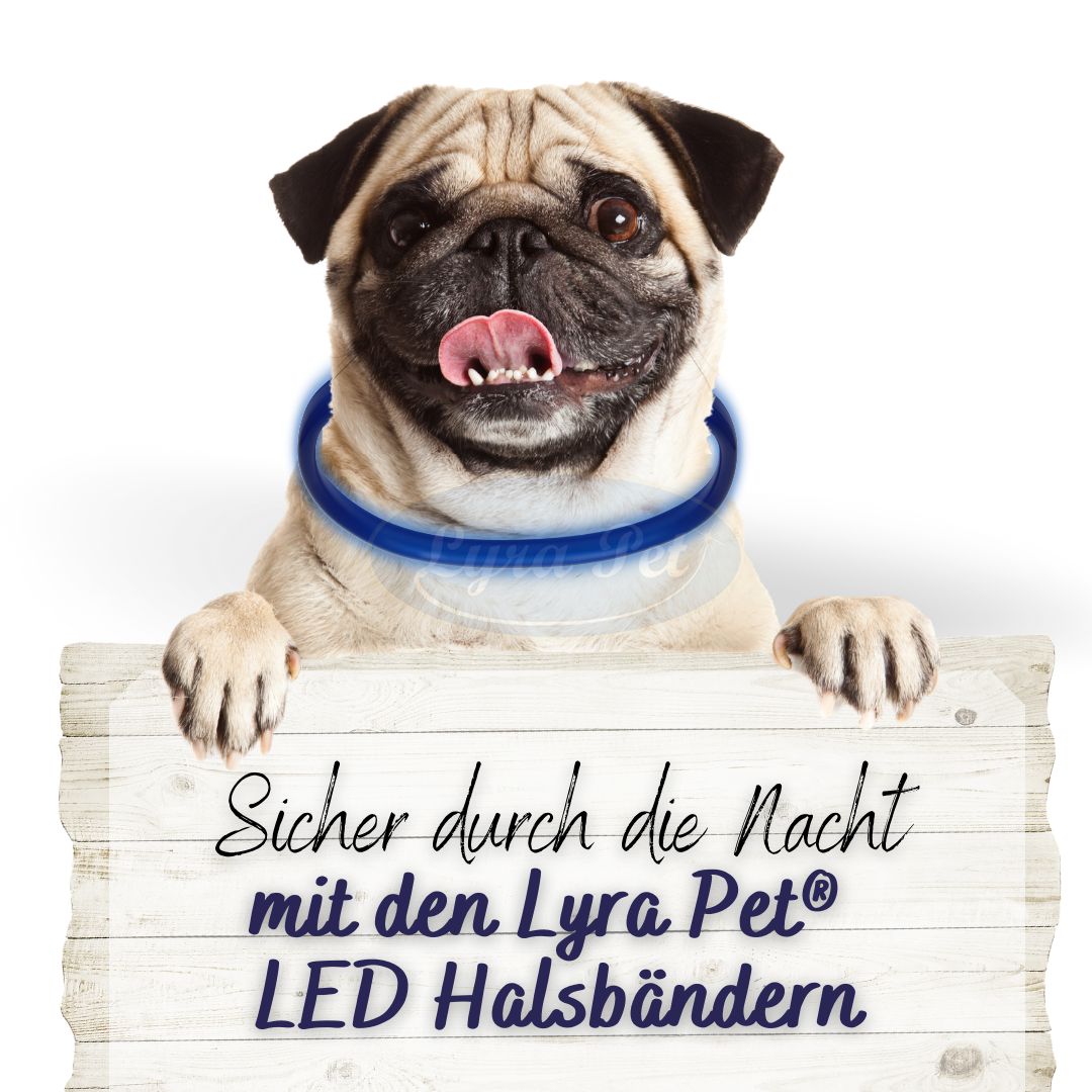 Lyra Pet® LED Halsband 70 cm blau