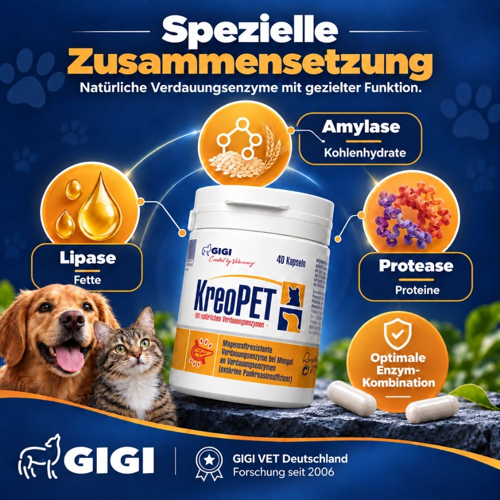 Ein Hund und eine Katze neben einem Behälter mit KreoPET-Kapseln, umgeben von Futter und Text.