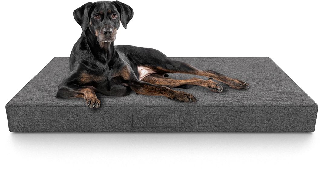 Ein Hund liegt auf einer grauen, rechteckigen Hundematte. Stoffbezug, rechteckige Form. Auf weißem Hintergrund.