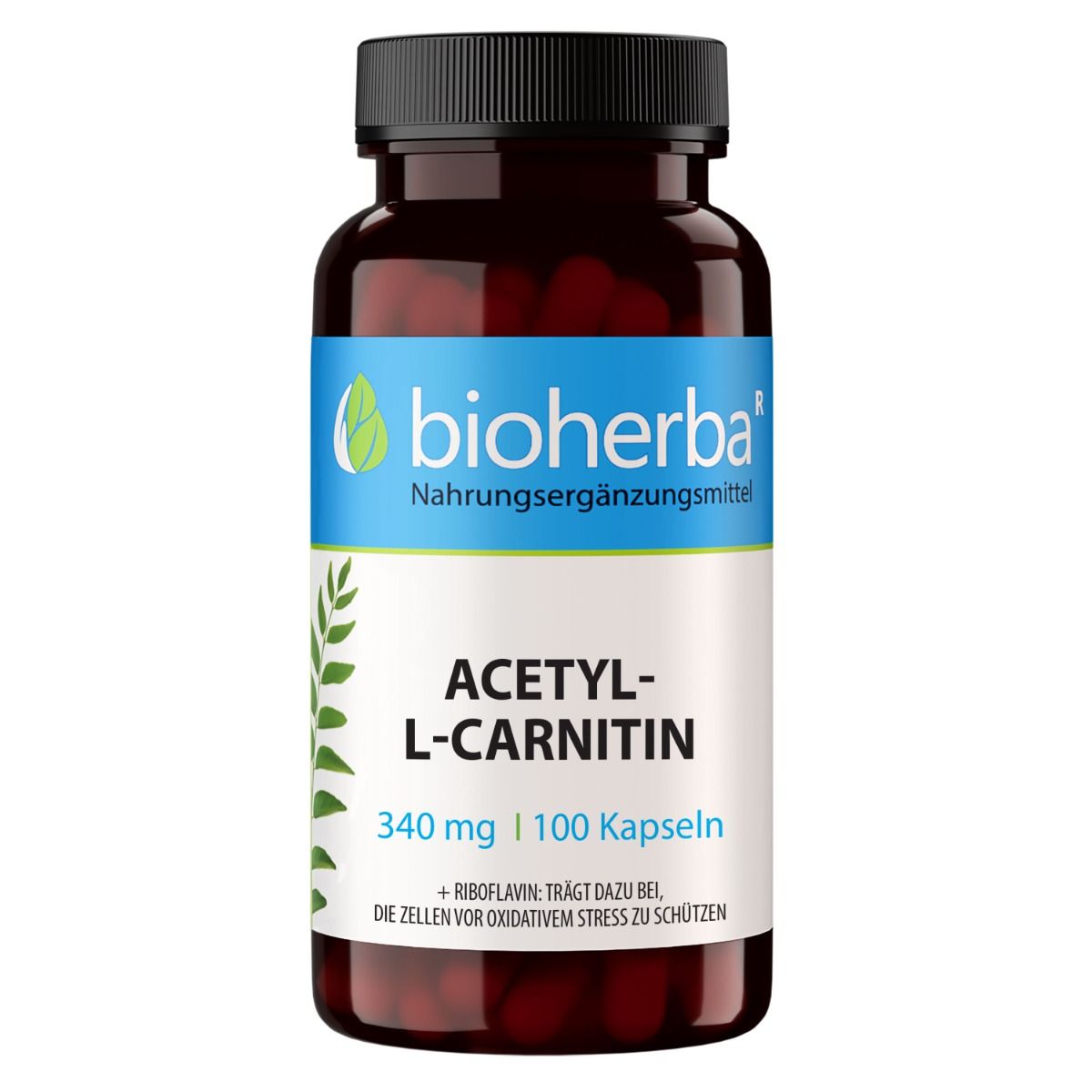 Braune Flasche mit schwarzen Deckel. Aufkleber mit blauem Streifen und Produktnamen: Acetyl-L-Carnitin. 100 Kapseln.