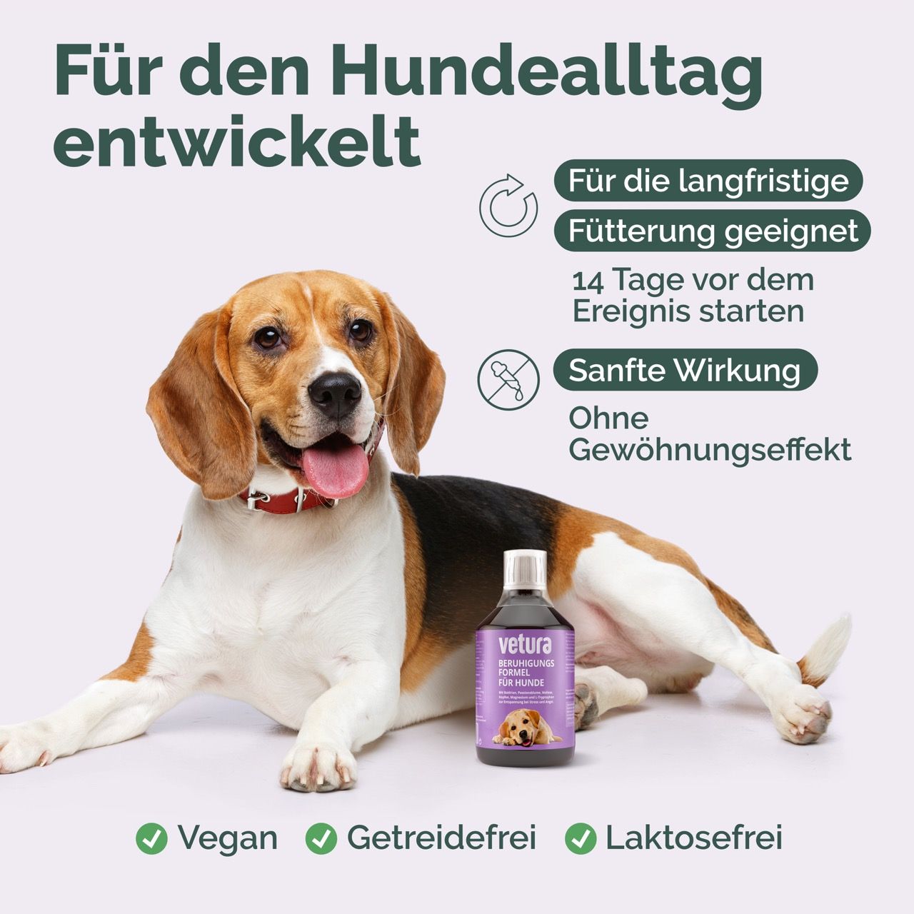 Ein Beagle-Hund neben einer Flasche 'vetura Beruhigungs Formel für Hunde'. Text: 'Für die langfristige Fütterung geeignet', 'Vegan', 'Getreidefrei', 'Laktosefrei'.