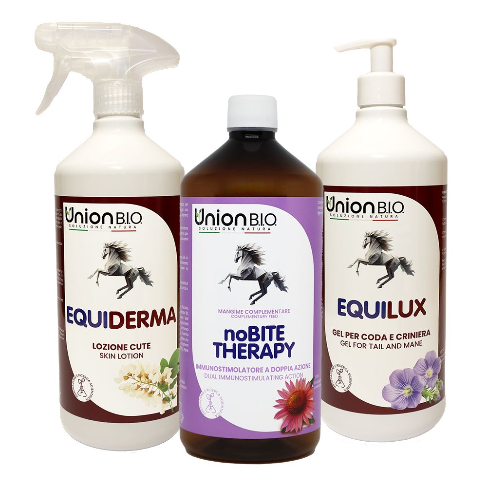 Union B.i.o. Kit derma 3 l Kombipackung