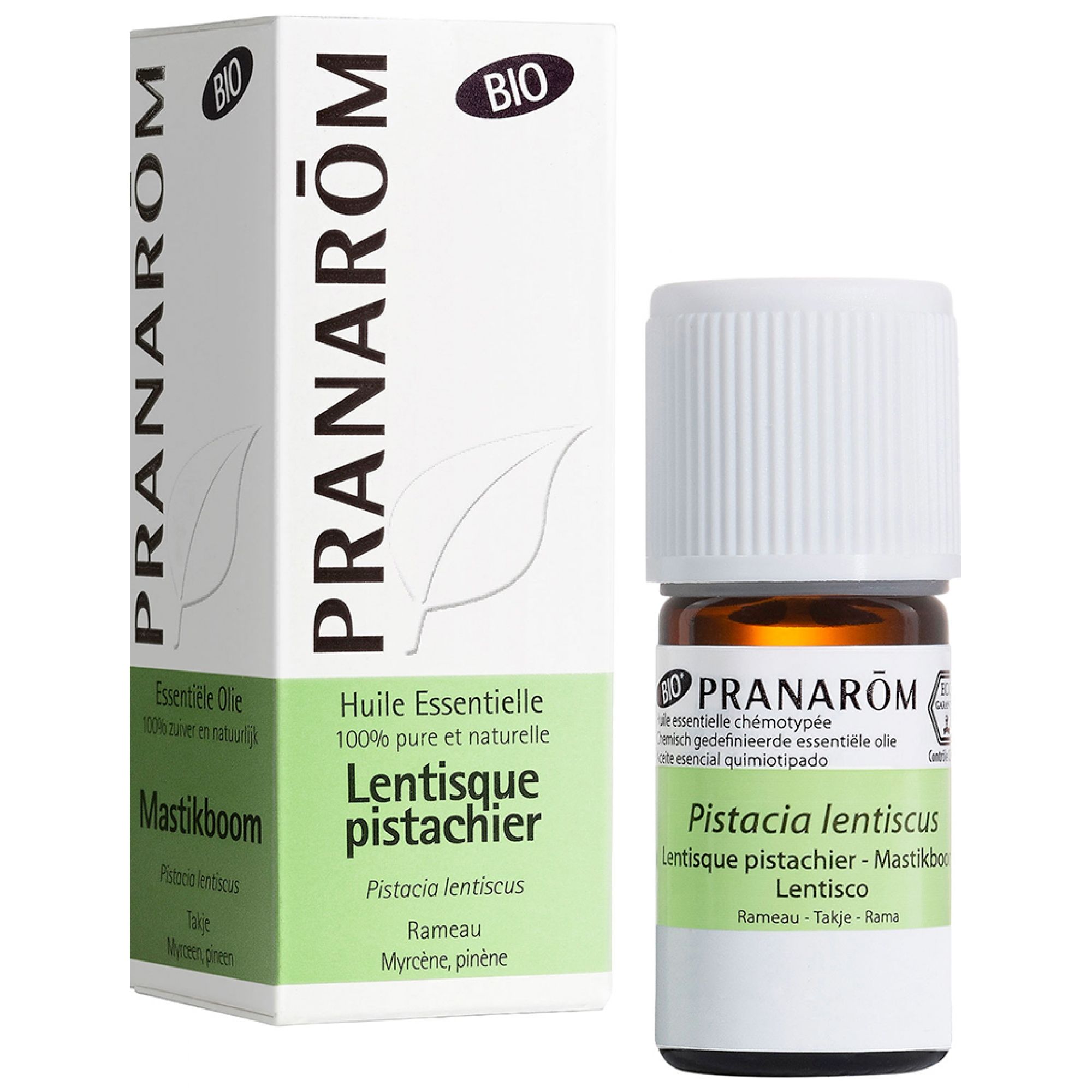 Pranarôm Bio Ätherische Öl Mastix (Pistacia lentiscus) 3x8x3 cm