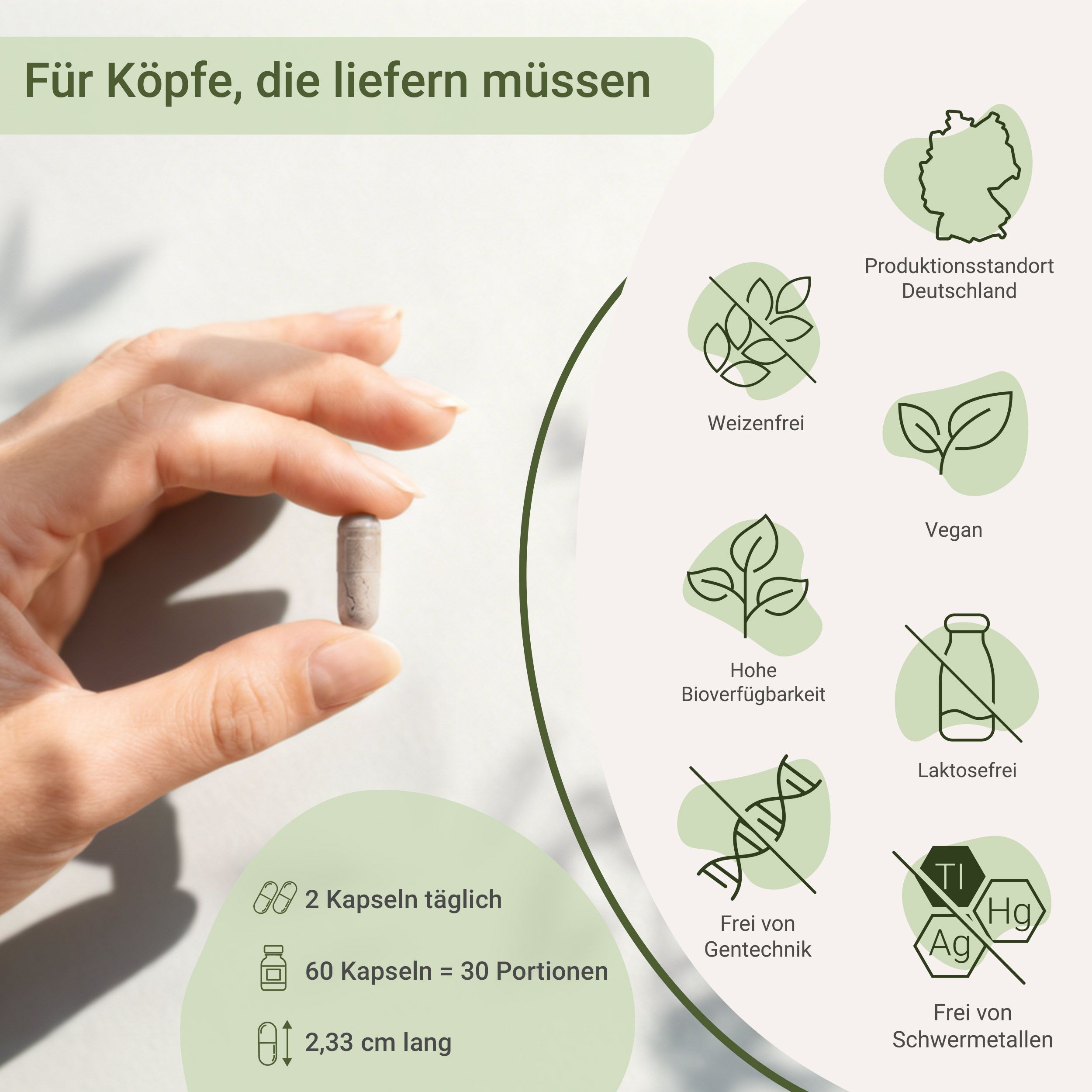 Hand hält Brain Vital Kapsel, Produktinformationen und Siegel.