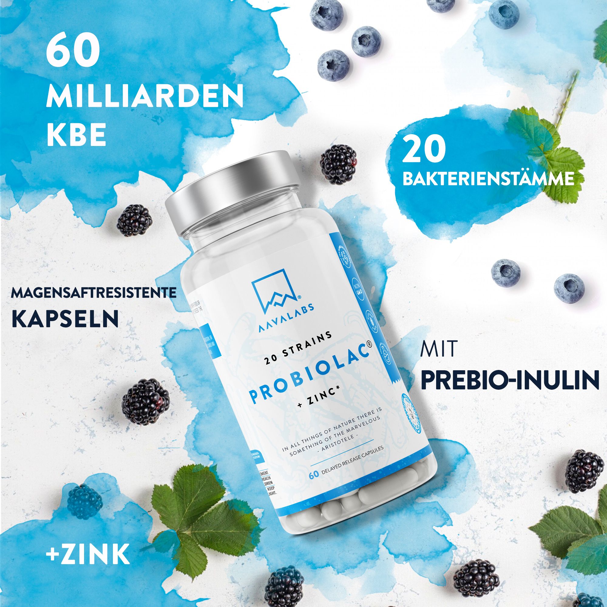 Probiolac-Flasche mit Kapseln, umgeben von Brombeeren und Blaubeeren. Aufschrift: Probiolac + Zink.