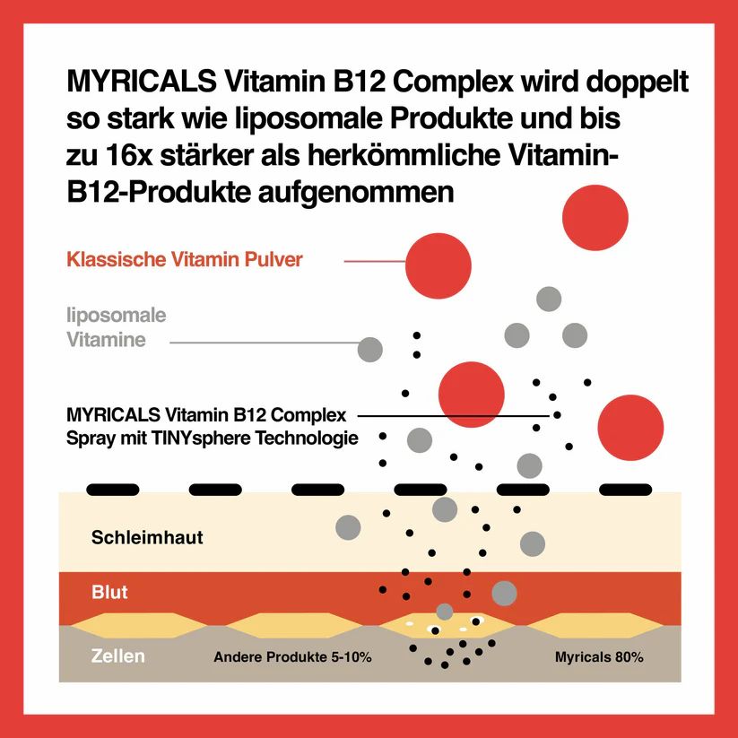 Grafische Darstellung der Aufnahme von Vitaminen. Vergleich: Klassische Vitamin-Pulver, liposomale Vitamine.
