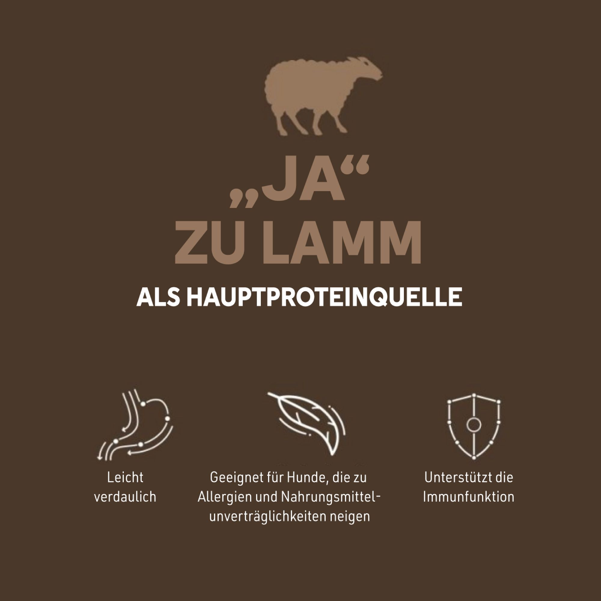 Brauner Hintergrund mit Text und Symbolen. Text: Ja zu Lamm als Hauptproteinquelle. Symbole: leicht verdaulich, für Allergiker geeignet, Immunsystem.