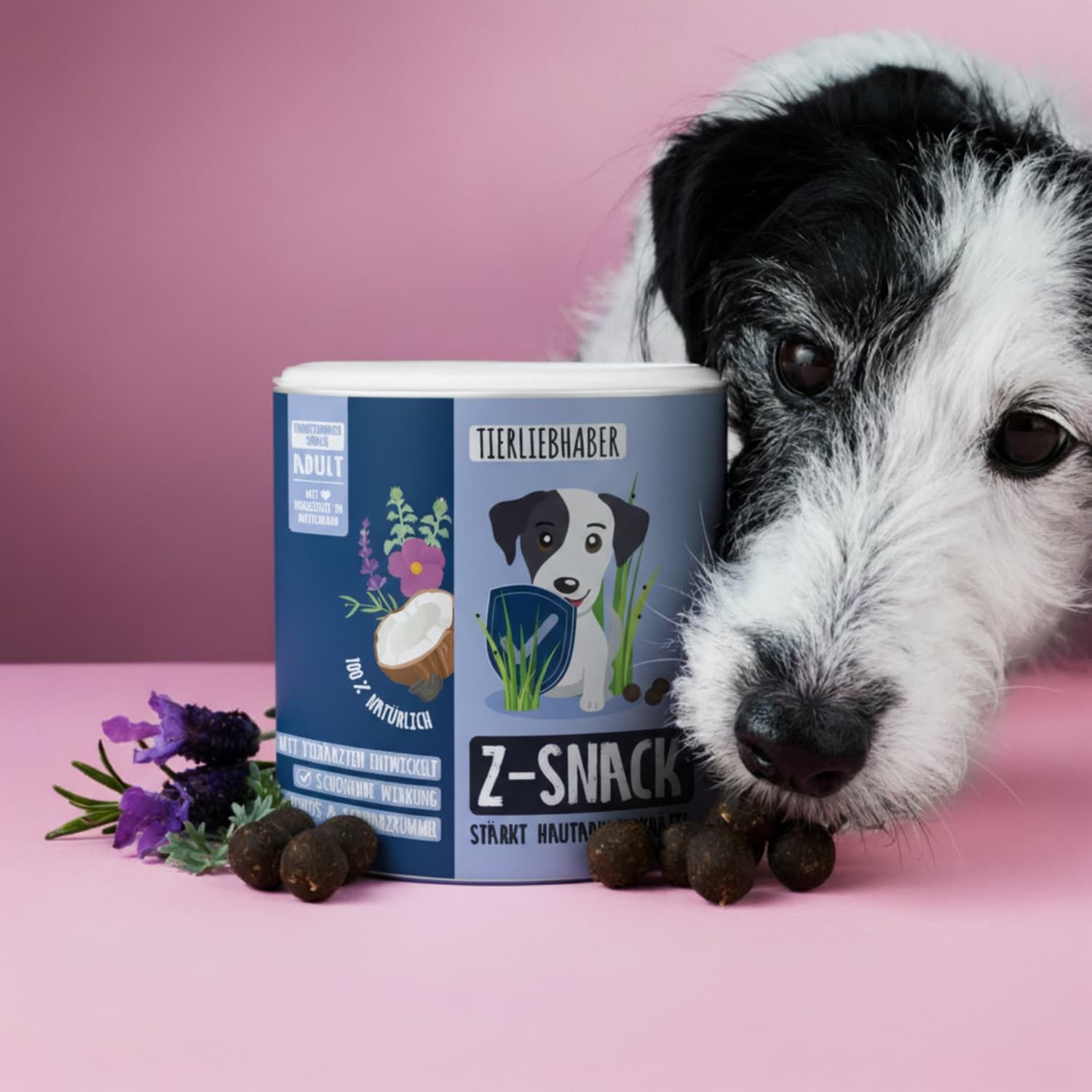 Hund neben Dose. Dose mit Hund-Illustration, Kokosnuss und Lavendel. Z-Snack. Rosa Hintergrund.