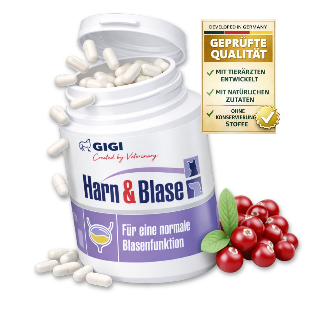 Weißes Pillen-Fläschchen, geöffnet, mit Pillen. Aufschrift: Harn & Blase. Mit Cranberrys und Qualitätszeichen.