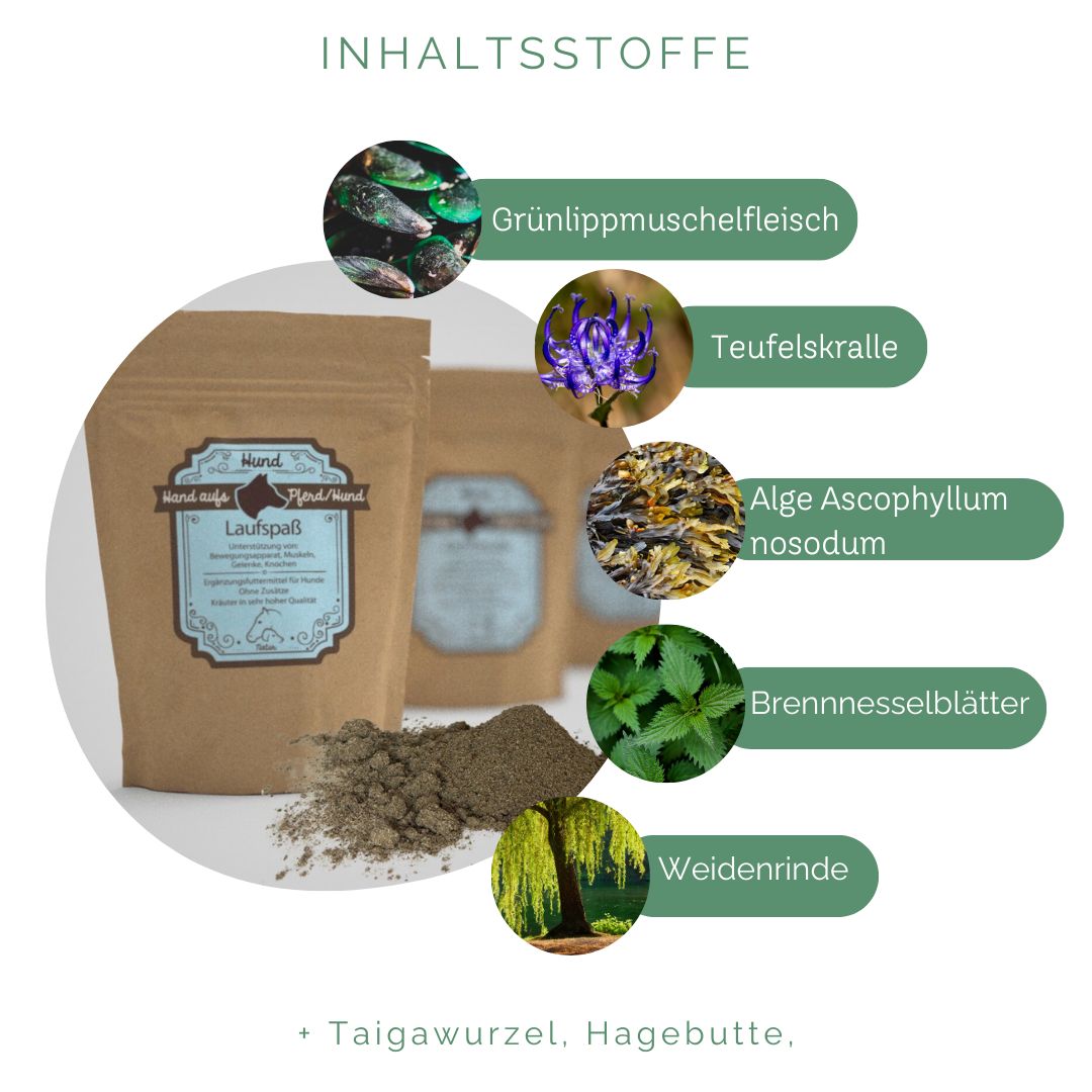 Brauner Beutel mit Etikett und Kräutermischung. Grafische Darstellung von Inhaltsstoffen: Grünlippmuschelfleisch, Teufelskralle, Alge.