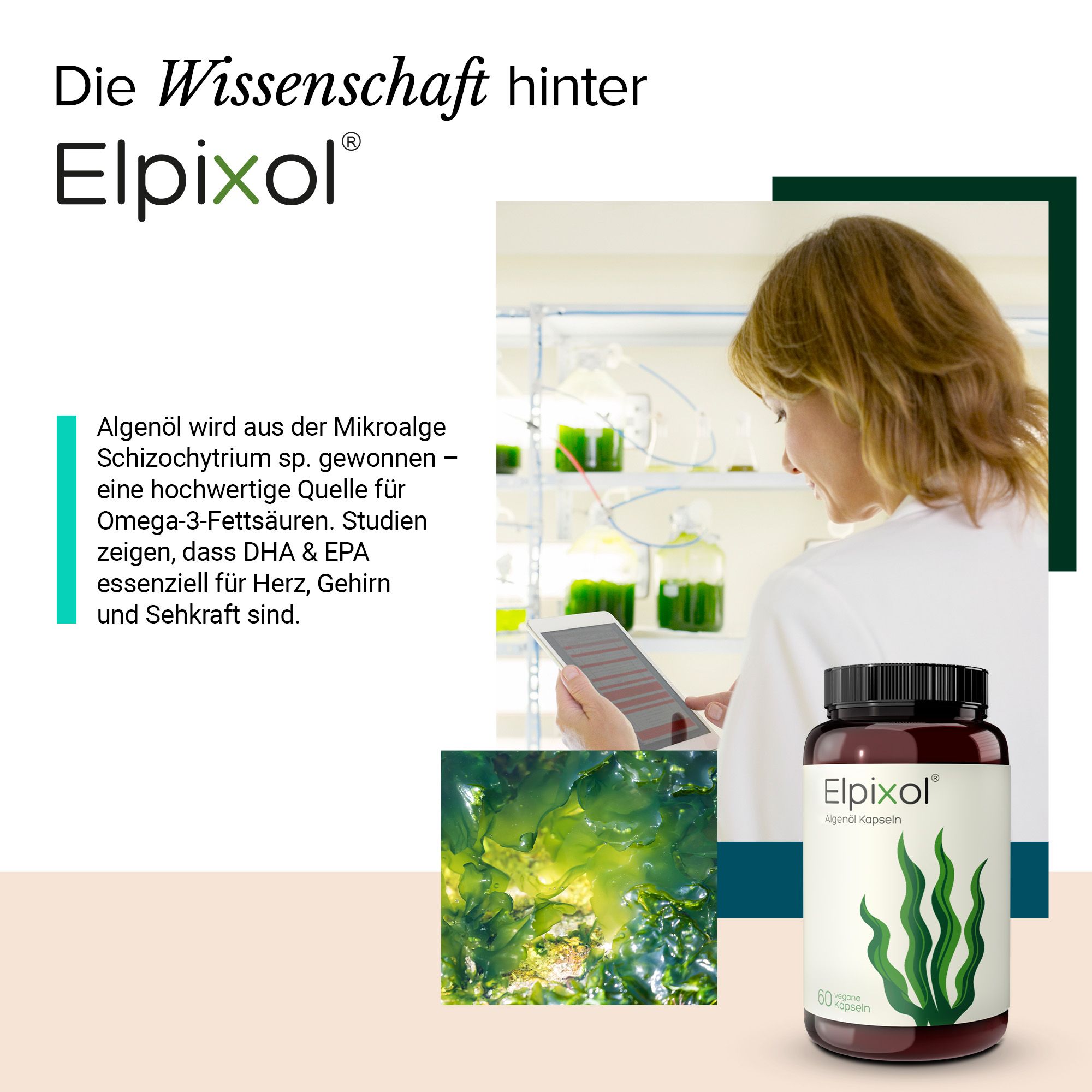 Frau in Labor. Flaschen mit Algen. Flasche mit Etikett: Elpixol Algenöl Kapseln. Text über die Wissenschaft hinter dem Produkt.