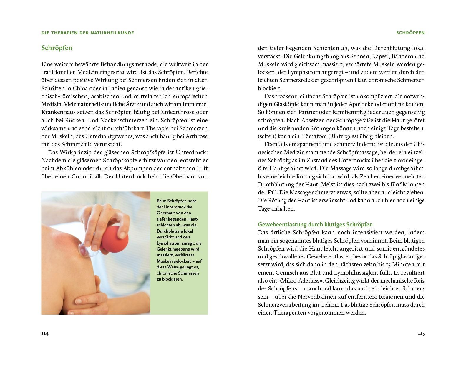 Die Natur-Docs - Meine besten Heilmittel für Gelenke. Arthrose, Rheuma und Schmerzen