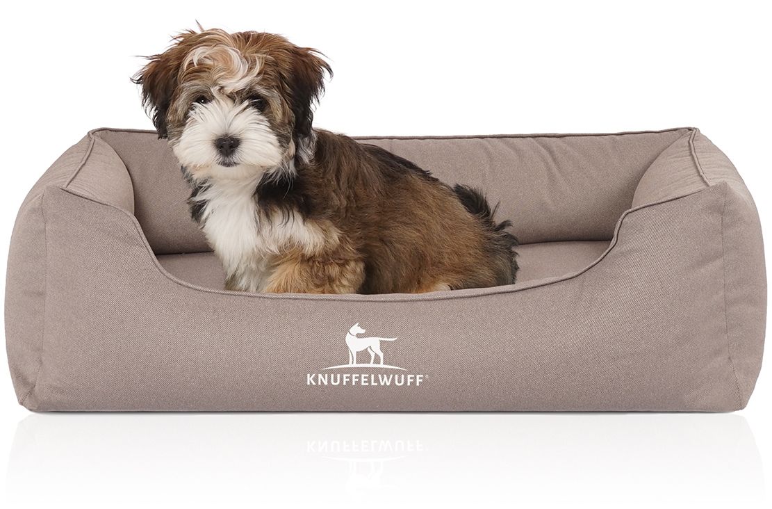 Beiges orthopädisches Hundebett. Ein kleiner Hund sitzt im Bett. Logo mit Hund und Schriftzug.