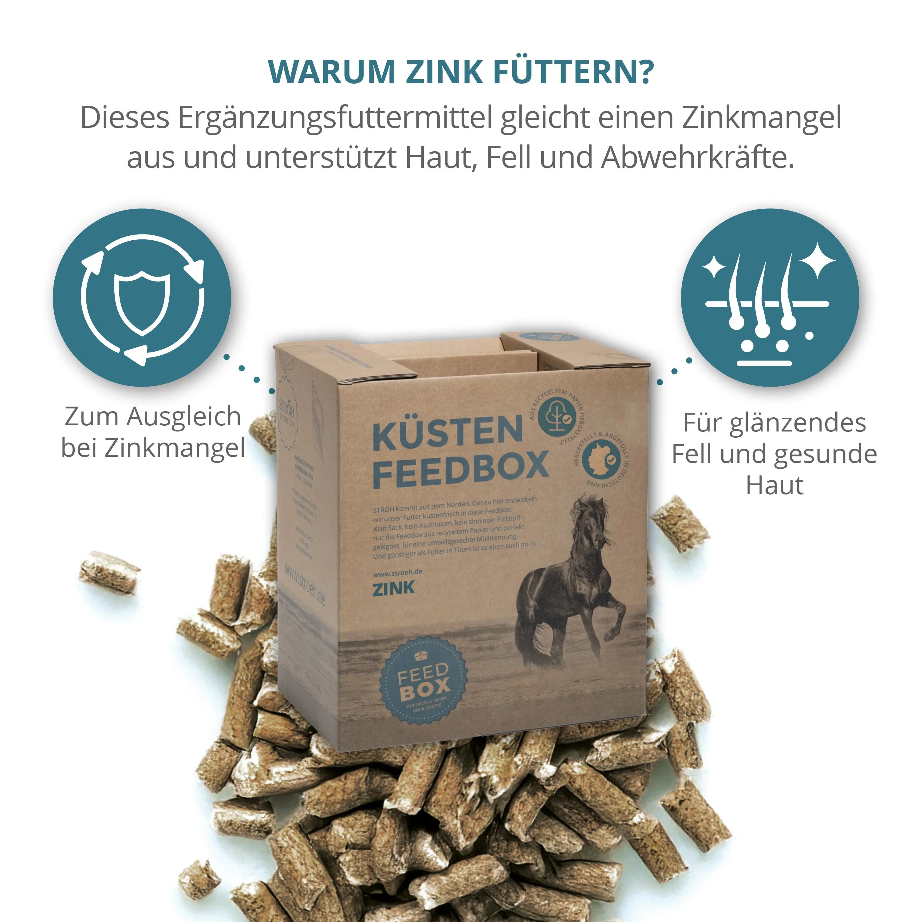 "KÜSTEN FEEDBOX" mit Futterpellets und Illustrationen. Text: "WARUM ZINK FÜTTERN?" und Vorteile.