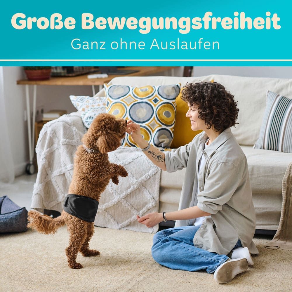 Hundewindel am Hund. Person interagiert mit Hund. Text: Große Bewegungsfreiheit, Ganz ohne Auslaufen.