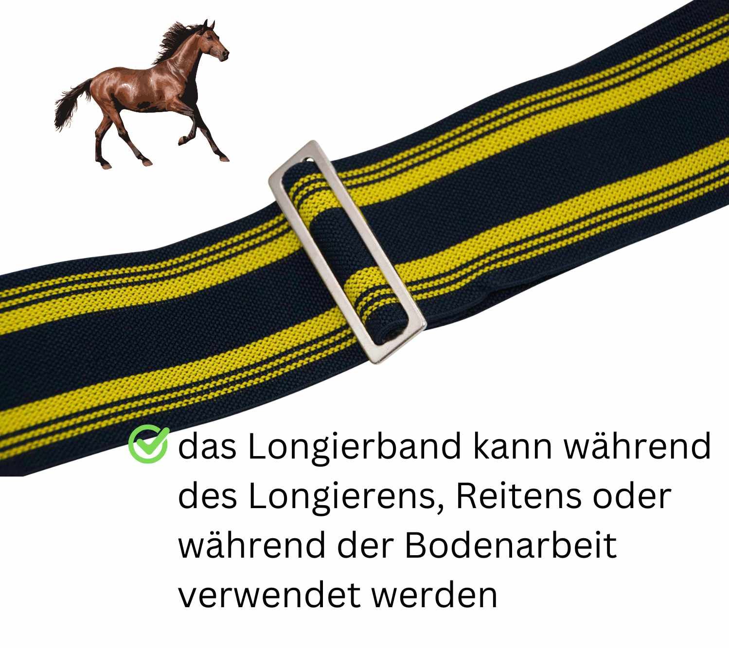 AMKA Longierband