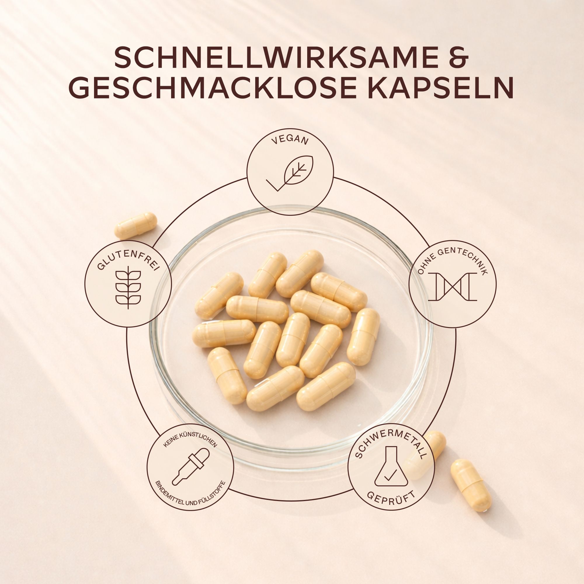 Aavalabs Folsäure-Kapseln. Flasche mit Kapseln. Enthält 120 Kapseln. Aufschrift: 400 μg Folsäure. Vegan.