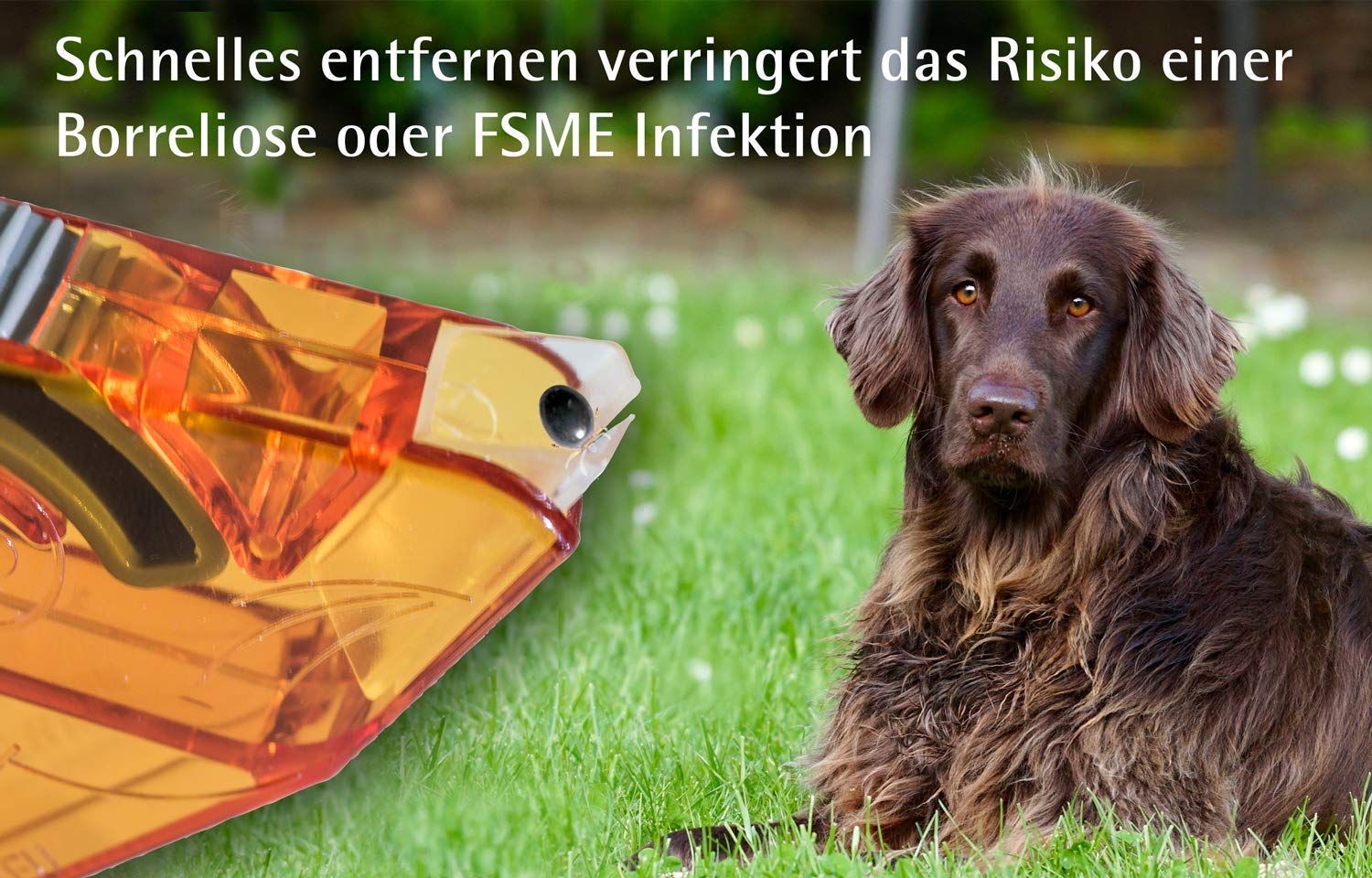 Zeckenmaus für Mensch und Tier