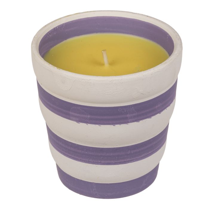 Out of the Blue Citronella Kerze im Keramik-Topf