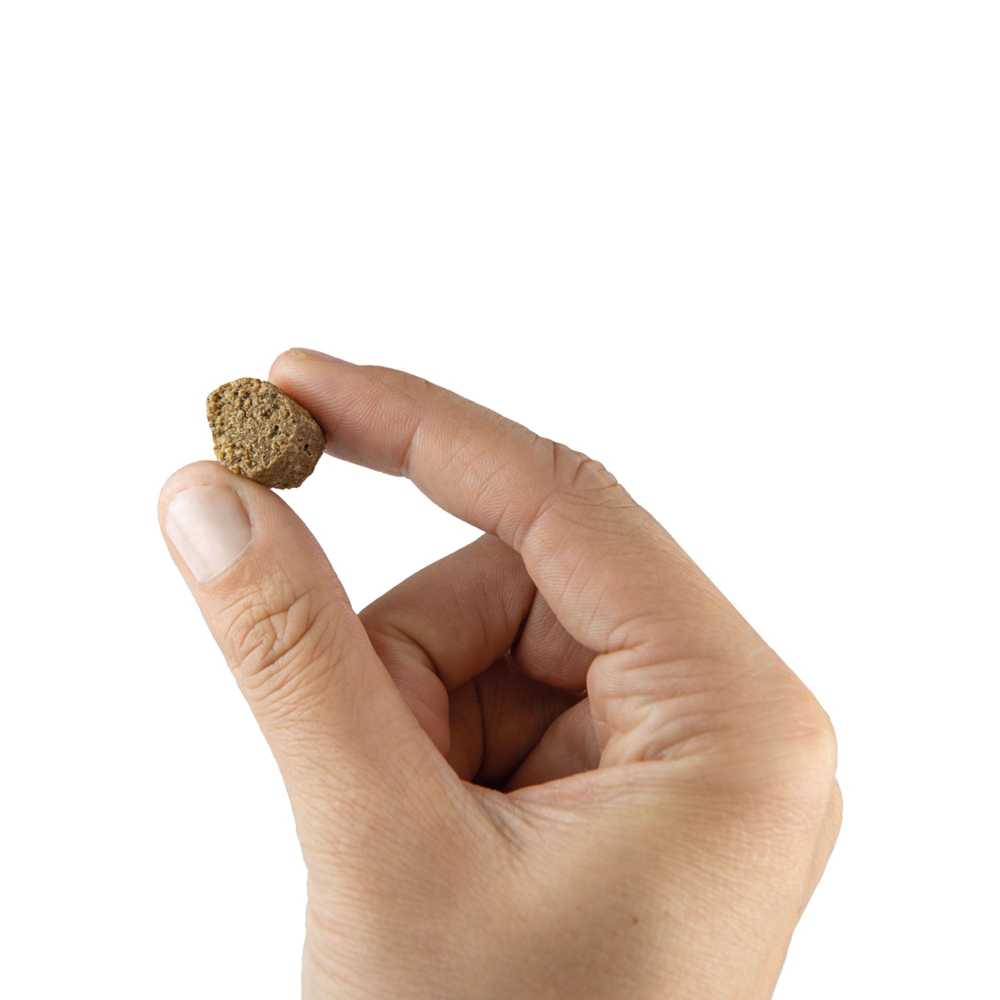 Hand hält ein einzelnes, braunes, würfelförmiges Hundeleckerli. Die Oberfläche ist uneben.