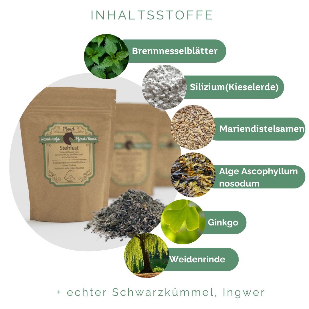 Braune Beutel mit Produktetikett und Kräutermischung. Text: INHALTSSTOFFE. Brennnesselblätter, Kieselserde, Mariendistelsamen, Algen, Ginkgo.