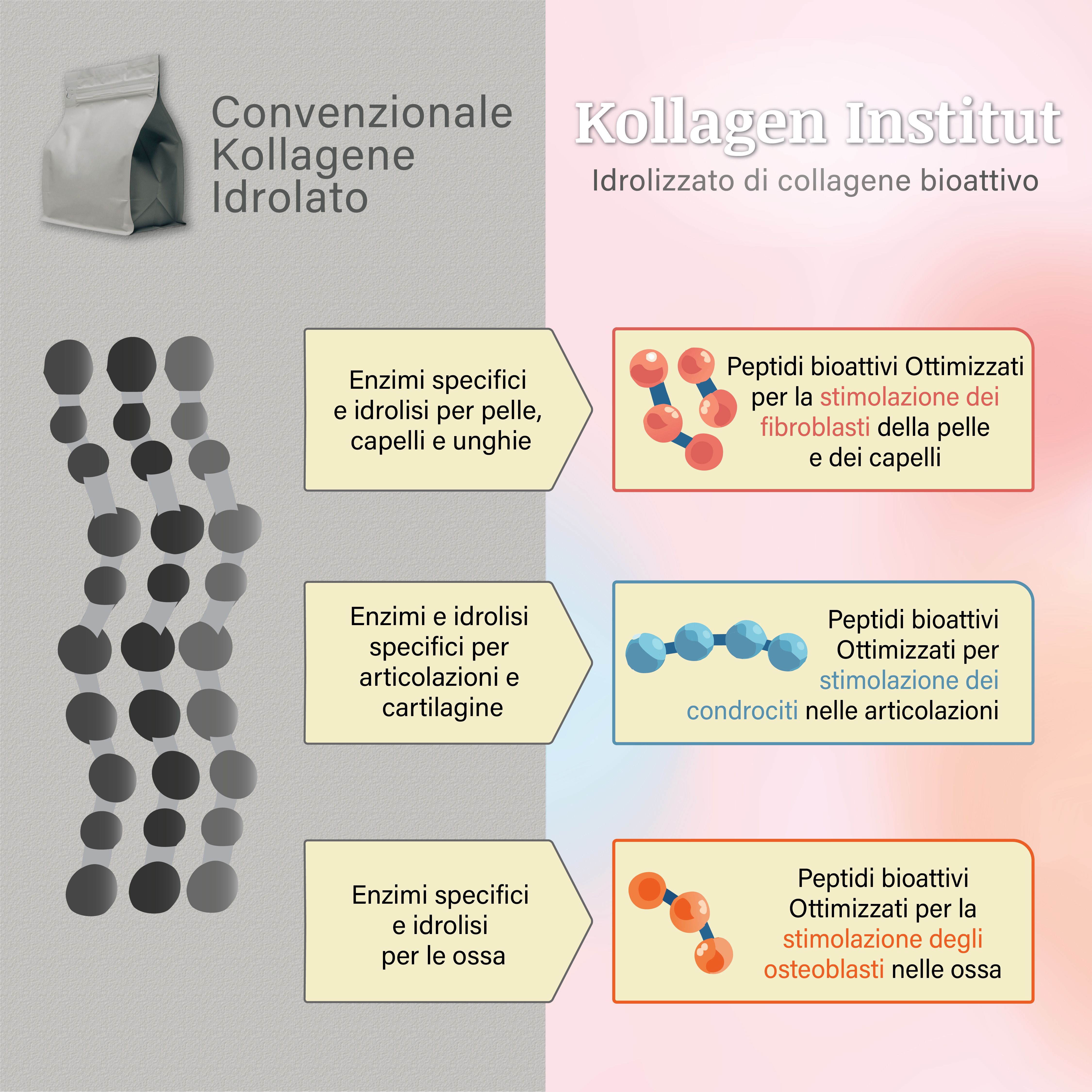 Diagramma: idrolizzato di collagene convenzionale vs Kollagen Institut. Effetti su pelle, capelli, unghie, articolazioni e ossa.