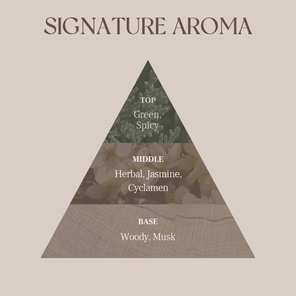 Pyramidenförmige Grafik. Beschreibt Duftnoten: Grün, würzig, Kräuter, Jasmin, Moschus. Text: SIGNATURE AROMA.