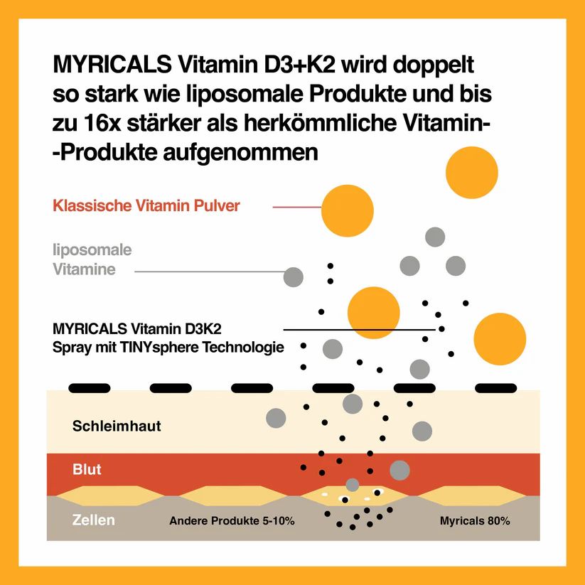 Diagramm: MYRICALS Vitamin D3+K2 wird doppelt so stark wie liposomale Produkte aufgenommen. Text: Schleimhaut, Blut, Zellen.