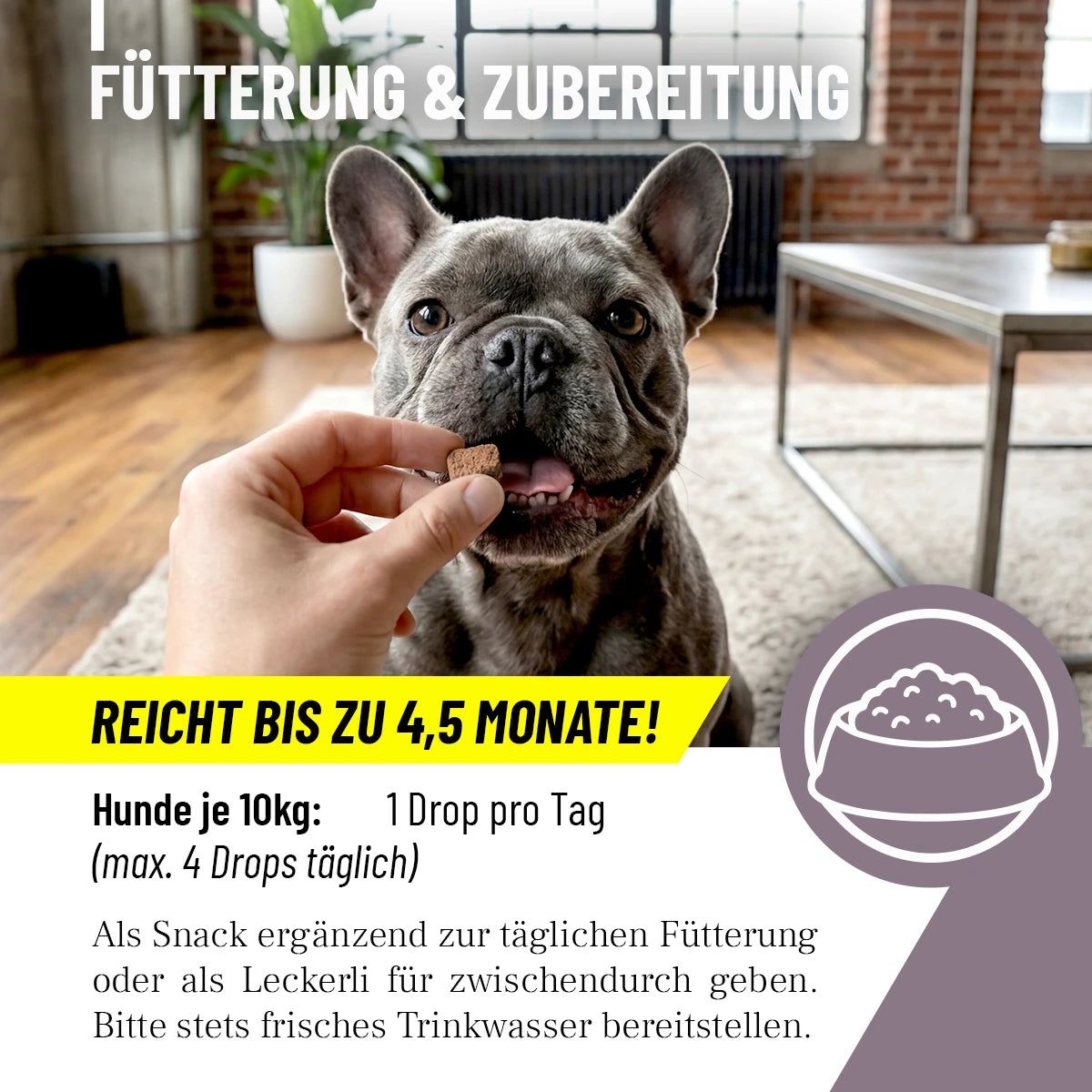 Hand gibt Hund einen Drop. Text: Fütterung & Zubereitung. Reicht bis zu 4,5 Monate! 1 Drop pro Tag. Als Snack oder Leckerli.