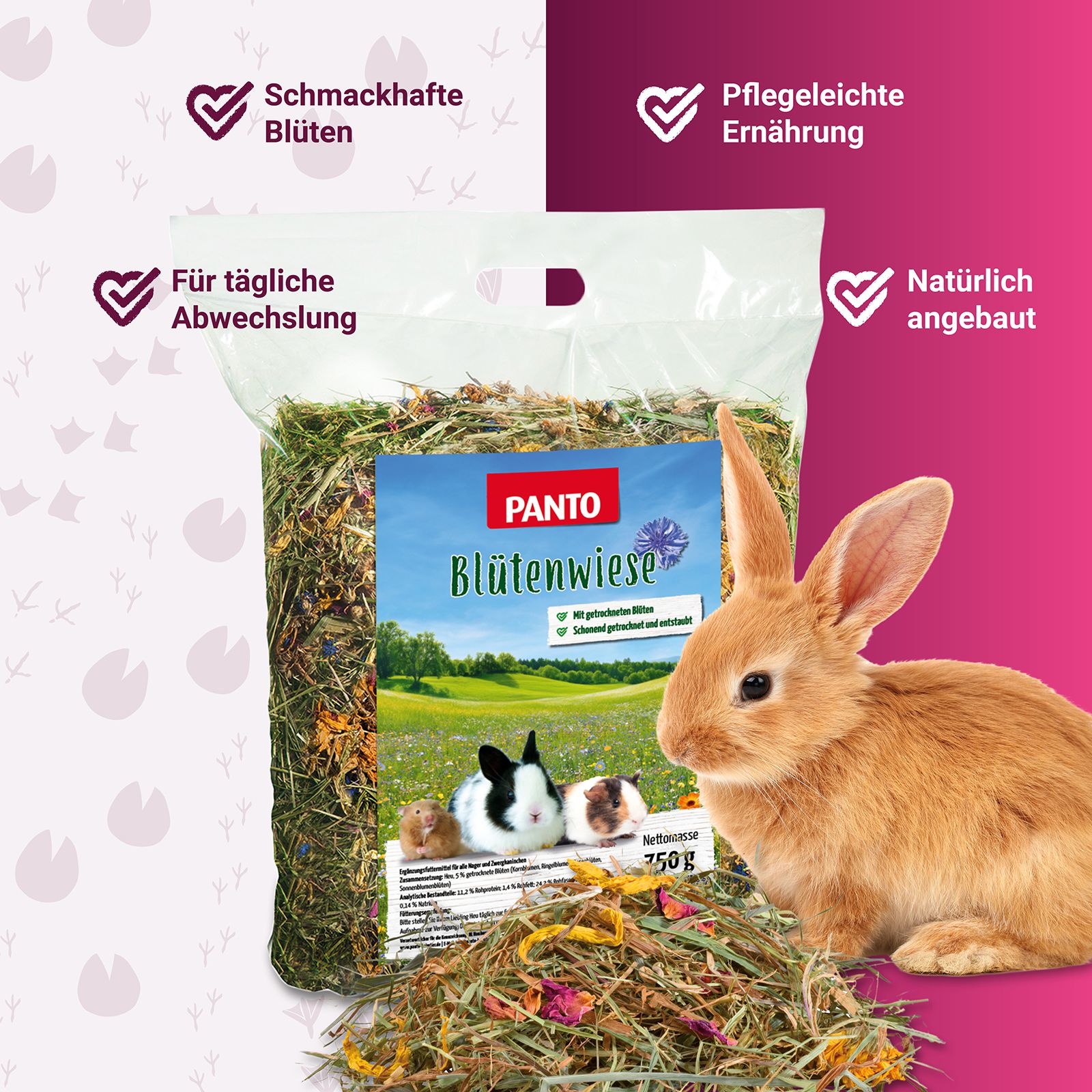 PANTO® Blütenwiese
