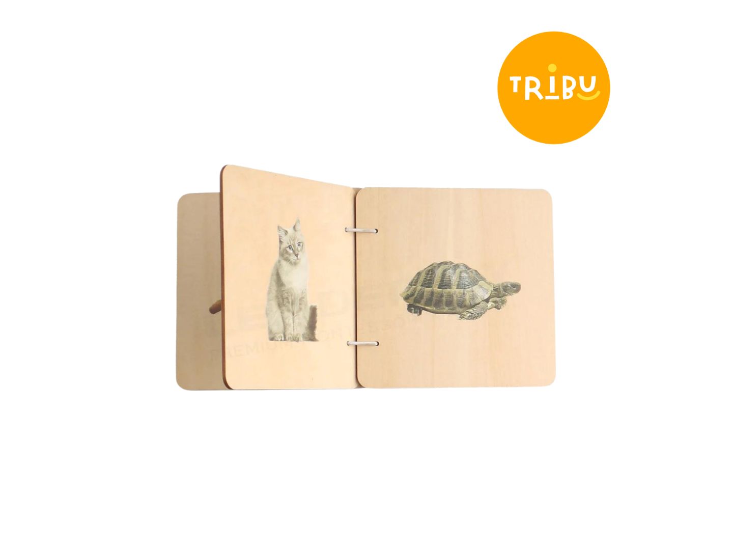 Tribu Box Mini Buch