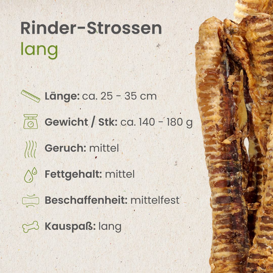 Deutscher Schäferhund kaut auf einer Rinder-Strosse, weitere liegen auf einem Holzstamm.