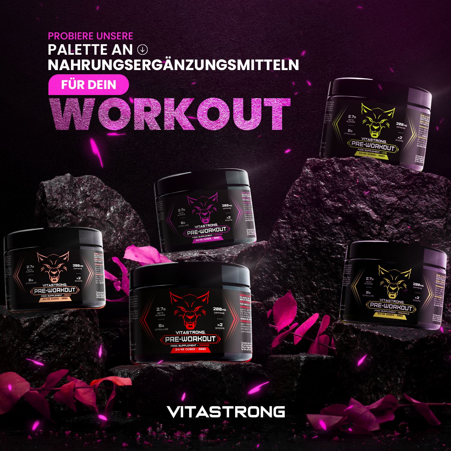 Mehrere Dosen "Vitastrong Pre-Workout" auf Steinen. Wolf-Logo. Rosa Blütenblätter.