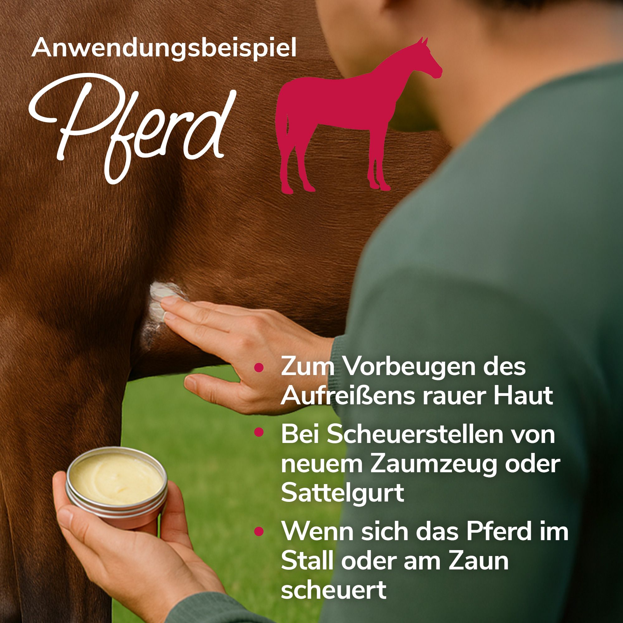 Pferd mit Creme-Dose. Anwendung: Creme auf Haut aufgetragen. Text: 'Pferd'.