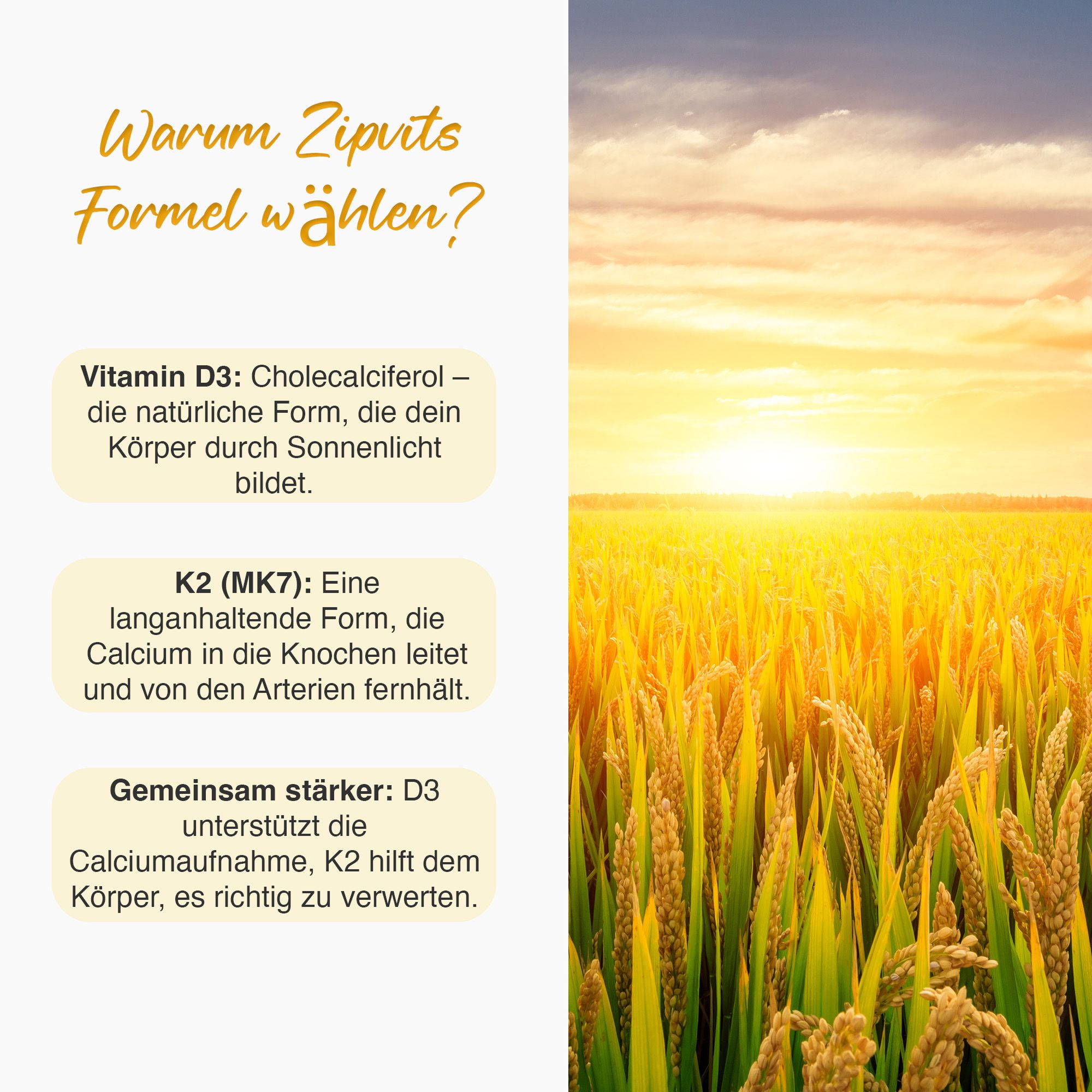 Text mit Informationen zu Vitamin D3 und K2. Hintergrund: sonniges Feld. Vitamin D3: Cholecalciferol. K2 (MK7): langanhaltende Form.