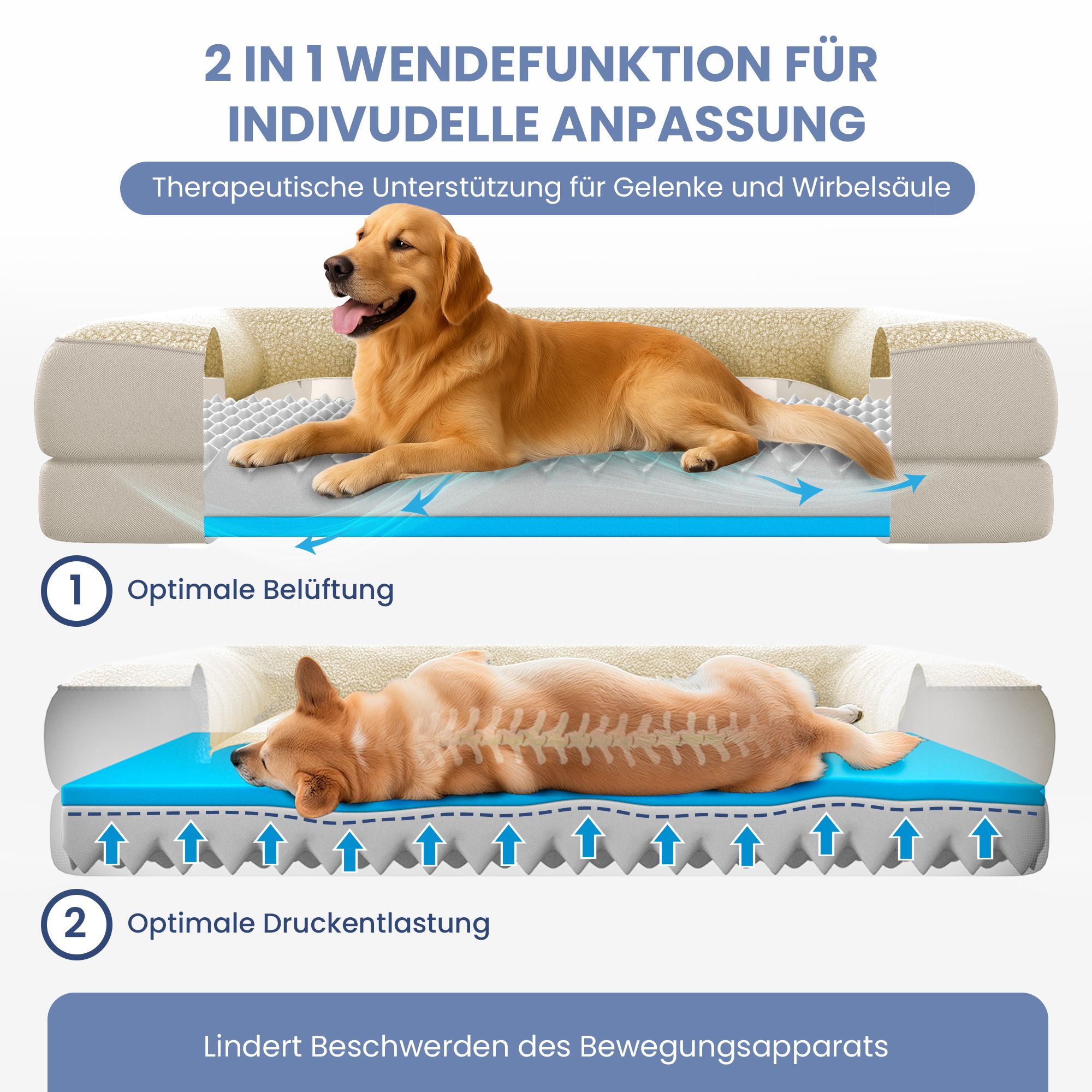 Hundebett mit Wendefunktion. Zwei Hunde liegen auf dem Bett. Text: Optimale Belüftung und Druckentlastung. Lindert Beschwerden.