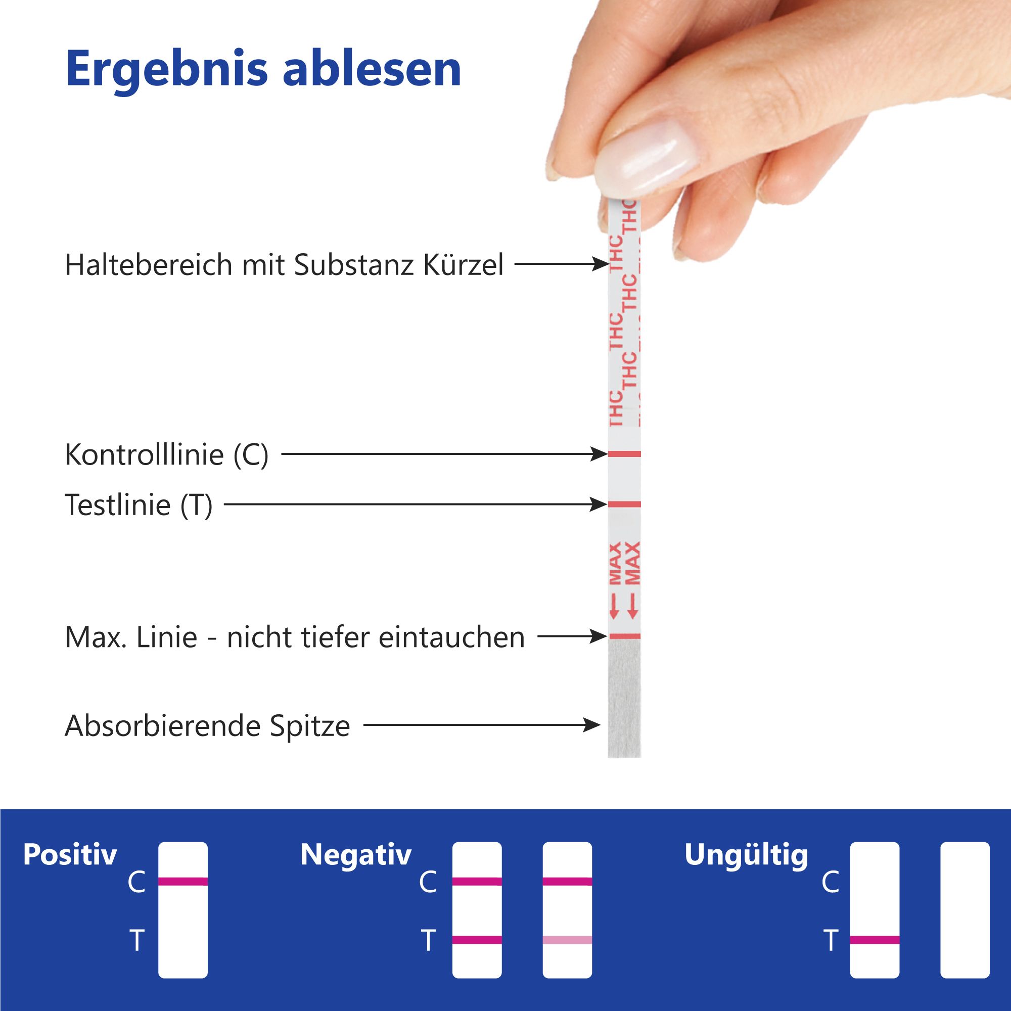 Teststreifen mit Markierungen. Beschriftung: MAX, THC, C, T. Drei Ergebnisbeispiele: Positiv, Negativ, Ungültig.
