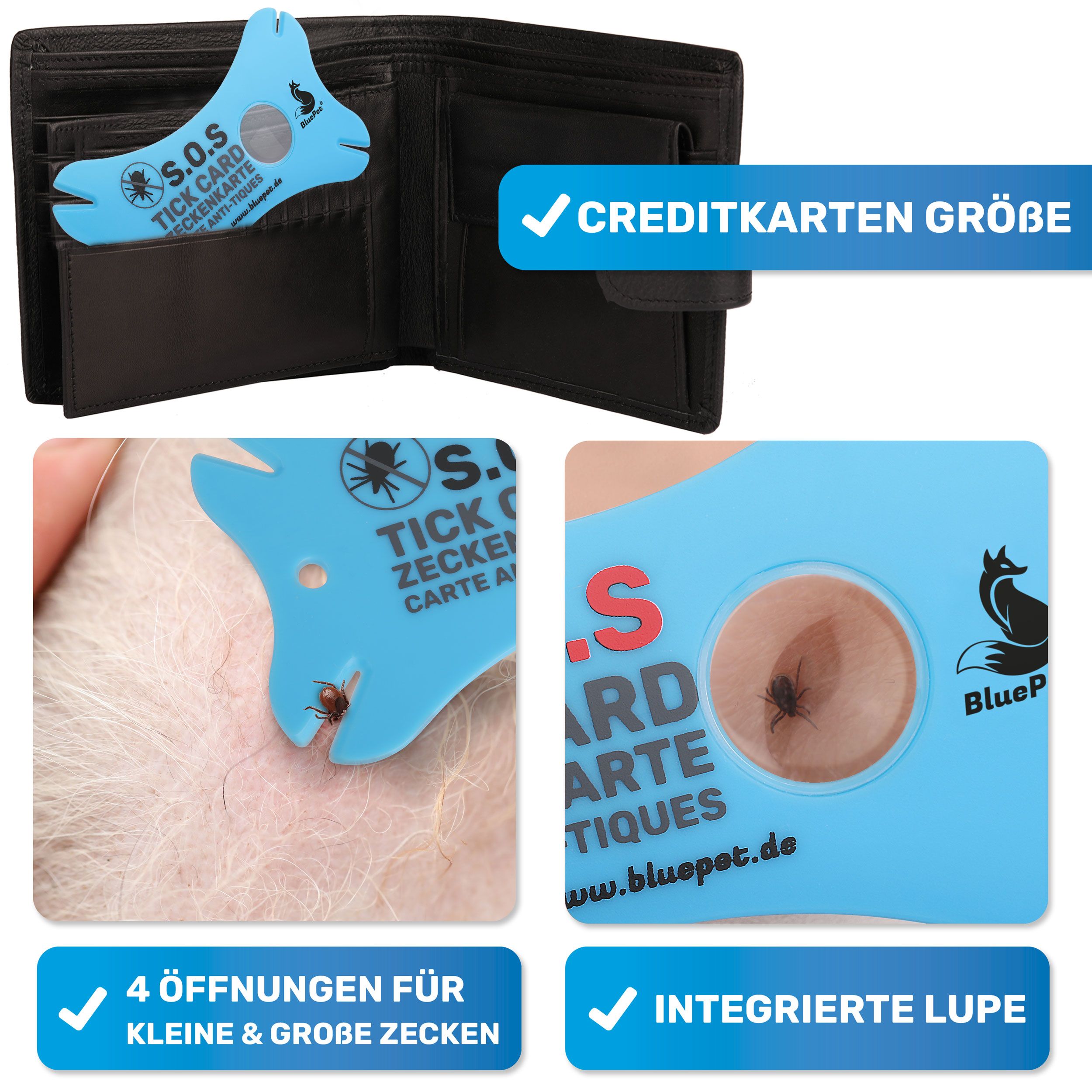 Blaue Zeckenkarte in Geldbörse. Kreditkartengröße. Zeckenkarte mit Lupe. Logo BluePet. Text: S.O.S Tick Card.